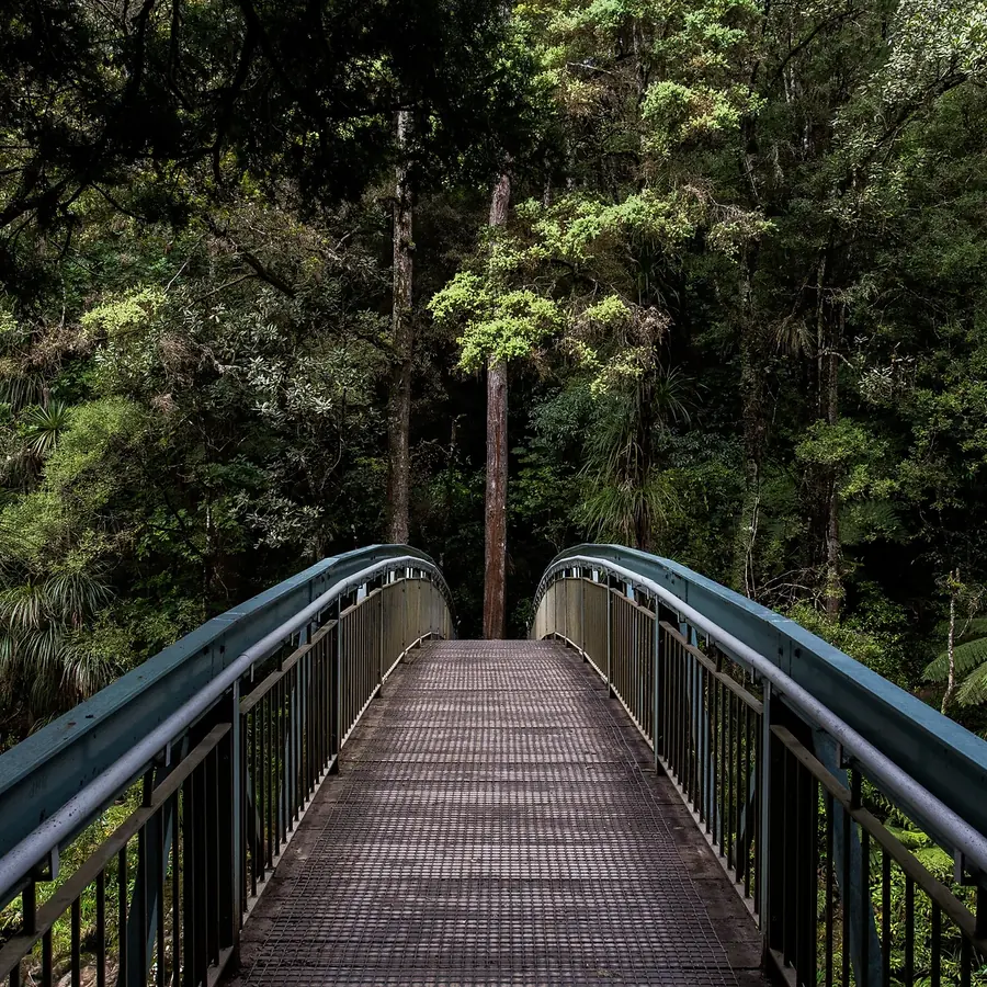 Peaceful bridge scene used by Global Therapy in Bentonville