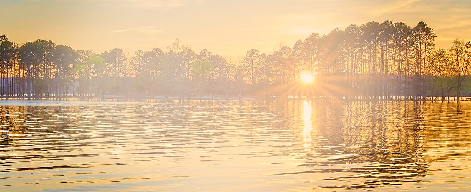 Global Therapy Blog